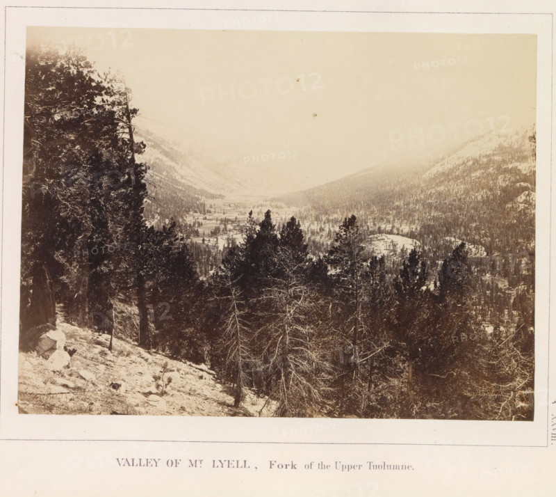 View of a valley at the foot of Mount Lyell in California, Valley of Mt. Lyell, Fork of the Upper Tuolumne, photograph, page, number: 'XXVIII.', photographer: W. Harris, California, c. 1860 - in or before 1868, North America, paper, albumen print, height 157 mm x width 209 mm, river, mountains, dale, valley, A sepia-toned landscape photograph showing a mountainous valley with a foreground of tall evergreen trees and some bare branched trees on a snow-dusted slope, denser dark trees filling the midground and receding into lighter, tree-covered hills and distant snow-covered peaks under a pale sky.