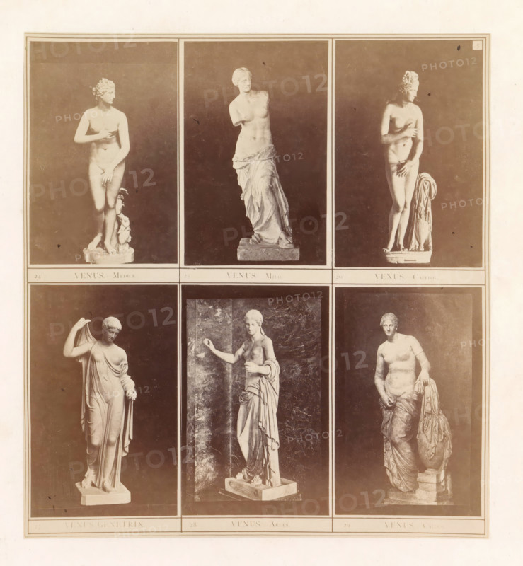 Six casts of ancient sculptures of Venus including the Venus de' Medici, the Capitoline Venus and the Venus de Milo, photograph, page, inscription: '24 Venus Medici. 25 Venus Milo. 26 Venus Capitol. 27 Venus Genetrix. 28 Venus Arles. 29 Venus C...dos.', photographer: HG Smith, photographer: HW Tupper, c. 1864 - in or before 1874, HG Smith, HW Tupper, paper, albumen print, height 185 mm x width 171 mm, piece of sculpture, reproduction of a piece of sculpture, (story of) Venus (Aphrodite), A vertically oriented photographic plate shows six rectangular panels arranged in two columns and three rows, each panel containing an image of a classical marble statue of a female figure on a dark background; the statues vary in pose and drapery with some nude figures and some partially draped, each standing on carved bases and photographed in full view, with the top row featuring three statues shown against plain dark backdrops and the middle and bottom rows framed similarly, the overall plate borde...
