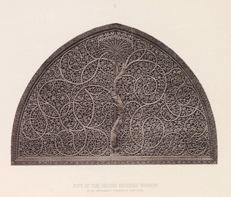 Copy of a decorated window of the Sidi Saiyyed Ni Jaali Mosque in Ahmedabad, Gujarat, India, page, photomechanical print, title: 'COPY OF THE SECOND BHUDDER WINDOW', number: 'V.', inscription: 'In MR. FOREST'S POSSESSION, NEW YORK.', Ahmedabad (city), maker: Heliotype Printing Company, Boston (Massachusetts), c. 1875 - in or before 1885, Heliotype Printing Company, photographer, North America, Massachusetts, paper, photoaquatint, height 160 mm x width 233 mm, ornament derived from plant forms, window, A close-up of the upper portion of a rounded, arched stone or carved panel filled with an intricate, repeating pattern of interlacing vines and floral motifs, with a central vertical trunk-like form that branches into curling tendrils and stylized leaves; the surface shows dense, symmetrical arabesque designs within circular compartments and a decorated border running along the curved edge, all rendered in a monochrome, high-contrast tone against a pale background.