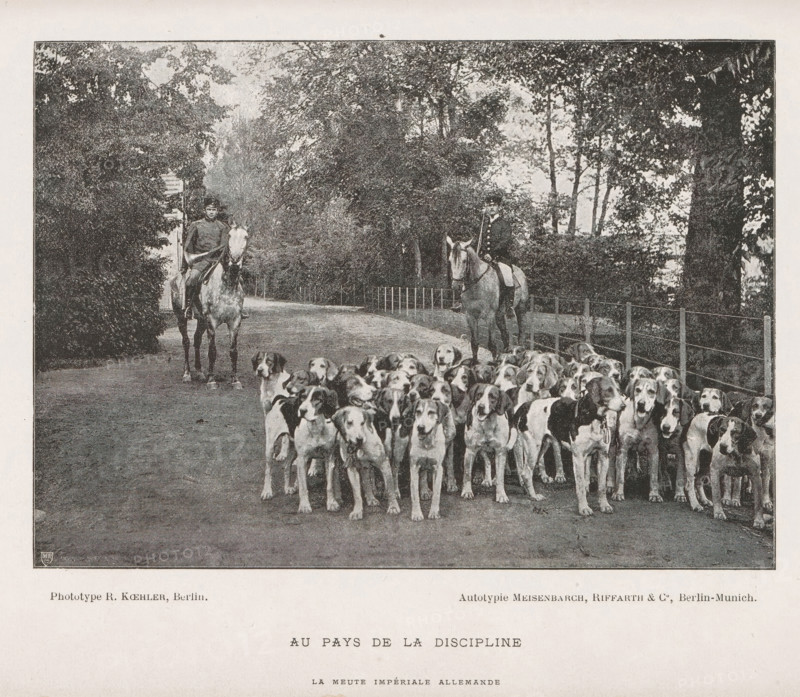 View of a group of dogs in front of two unknown men on horseback, probably for hunting, Au pays de la discipline, page, photomechanical print, inscription: 'Le muete impériale allemande', photographer: R. Koehler, cliché maker: Meisenbach, Riffarth & Cie., c. 1887 - in or before 1892, paper, collotype, photoprint, height 114 mm x width 160 mm, adult man, dog, horse, riding a horse, ass, or mule, rider, horseman, A wide, grainy black and white scene shows a group of dogs filling the foreground, standing shoulder to shoulder and facing forward, with two mounted riders positioned behind them on a tree-lined road; trees and foliage frame both sides and a low fence runs along the right side, while the surface of the road stretches back into the shaded distance.