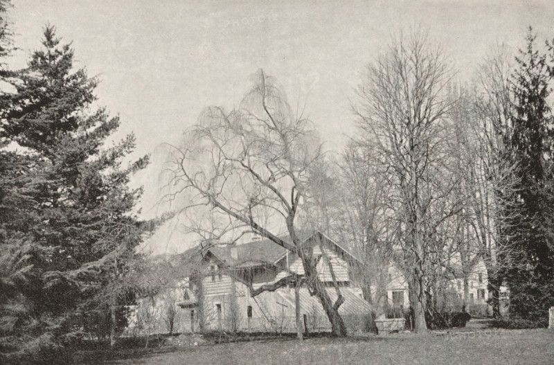 View of a house and trees, page, photomechanical print, inscription: '...', maker: Bonneau & Co., c. 1890 - in or before 1895, paper, autotypie, height 132 mm x width 195 mm, trees, housing, A grayscale photograph showing a group of tall trees with bare branches and evergreen foliage surrounding a multi-story house with a steep roof and visible windows; a large deciduous tree with twisted limbs stands in front of the house, partially obscuring it, and conifers frame the scene at the sides while a grassy area appears in the foreground.