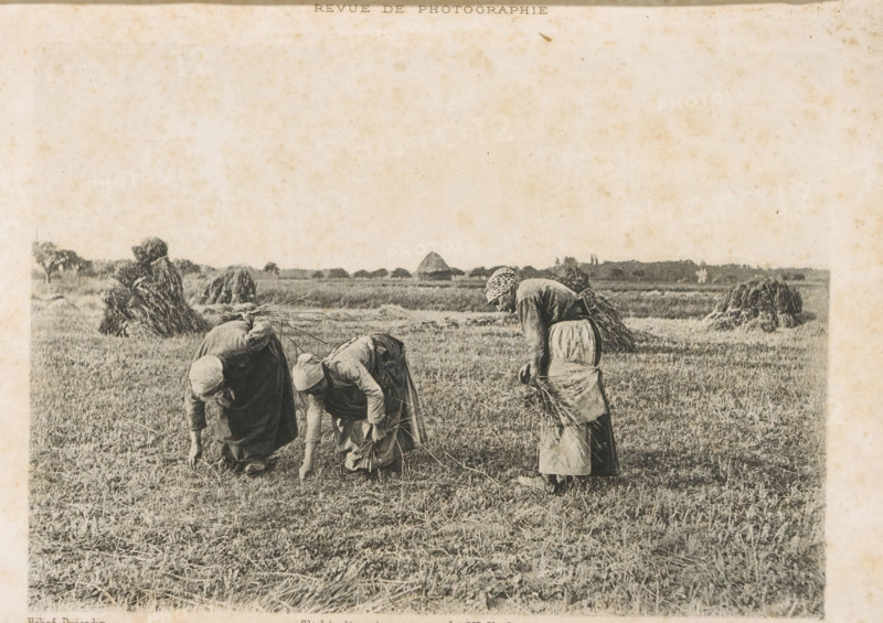 Three unknown women working in the fields, probably gleaners, Les Glaneuses, page, photomechanical print, photographer: Mr. Ch. Comessy, cliché maker: Dujardin, printer (person): Eudes et Chassepot, c. 1890 - in or before 1895, printer (person), paper, photoaquatint, height 121 mm x width 171 mm, adult woman, gleaning, Locmariaquer, A faded black-and-white image of three women bent over in a field, each wearing long skirts and head coverings and holding handfuls of harvested stalks, with stacks of bundled crops and distant low vegetation visible along the horizon and a textured, lightly spotted sky occupying the upper area of the picture.