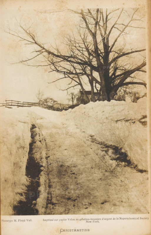 View of a country road in the snow, Christmastide, photograph, page, inscription: 'Imprimé sur papier Velox au gélatino-bromure d'argent de la Neperachemical Society, New-York.', photographer: M. Floyd, Vail (possibly), printer (person): Nepera Chemical Company, New York (city), c. 1892 - in or before 1897, M. Floyd, Nepera Chemical Company, photographer, printer (person), North America, Colorado, Vail, paper, gelatin silver print, developing gelatin silver print, height 189 mm x width 140 mm, road, path, snow, A sepia-toned photograph showing a snow-lined dirt path leading toward a large leafless tree with many bare branches reaching outward; high snowbanks flank the path and smaller bare trees and a wooden fence appear in the background, with the sky visible above and the ground textured with footprints and tracks.