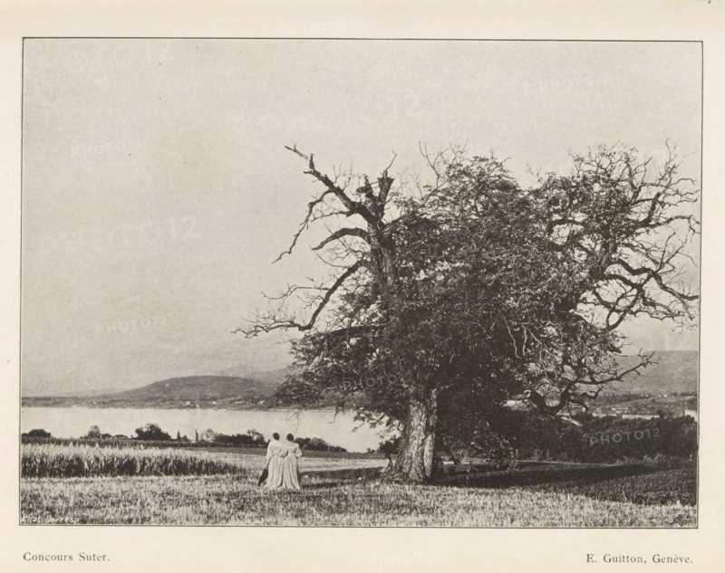 Two women in a meadow, with hills and a lake in the background, page, photomechanical print, inscription: 'Concours Suter.', monogram: 'AG ph.', inscription: 'Phot. Corresp.', maker: Eug. Guitton, Switzerland (possibly), cliché maker: unknown, c. 1894 - in or before 1899, clichémaker, paper, autotypie, height 105 mm x width 146 mm, adult woman, lake, low hill country, A wide landscape photograph showing a large, gnarled tree with many branches and dense foliage dominating the right side, a grassy field extending in front of and around the tree, a distant body of water and low hills on the horizon, and two figures standing close together near the base of the tree facing away from the camera.