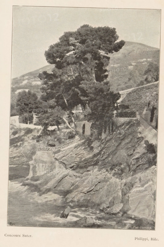 Mountain landscape, page, photomechanical print, monogram: 'AG ph.', inscription: 'Phot. Corresp.', inscription: 'Concours Suter', maker: Philippi, cliché maker: unknown, c. 1894 - in or before 1899, paper, autotypie, height 149 mm x width 100 mm, landscapes, trees, mountains, A vertical grayscale photograph of a rocky coastal scene with a large, dense tree at the top of a cliff. The tree has a broad canopy and multiple trunks and branches extending outward, with foliage forming dark masses against a lighter sky. Below the tree, a stone structure with arched openings is partially visible set into the cliff face, and a decorative railing runs along a ledge near the cliff edge. Jagged rock formations descend from the cliff into turbulent water at the bottom of the image, with visible waves and foam around protruding rocks. In the background, sloping hills and scattered vegetation create a layered landscape behind the main cliff and tree.