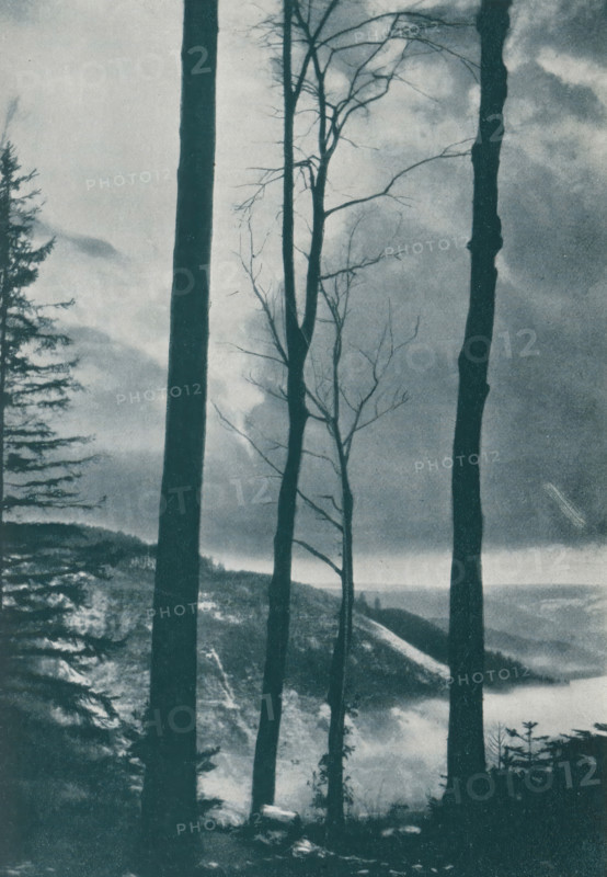 Landscape, page, photomechanical print, monogram: 'C. Cie', photographer: Hermann Linck, cliché maker: Corbaz & Cie, c. 1897 - in or before 1902, paper, autotypie, height 169 mm x width 119 mm, landscapes, A tall vertical image shows several slender tree trunks and bare branches silhouetted against a cloudy sky, with a darker, denser cluster of evergreen branches visible along one side. In the lower portion a sloping, forested hillside descends toward a misty, distant valley or body of water, and the foreground contains shadowed undergrowth and uneven ground. The overall tone is monochromatic with strong contrasts between the dark trees and the lighter sky and distant landscape.