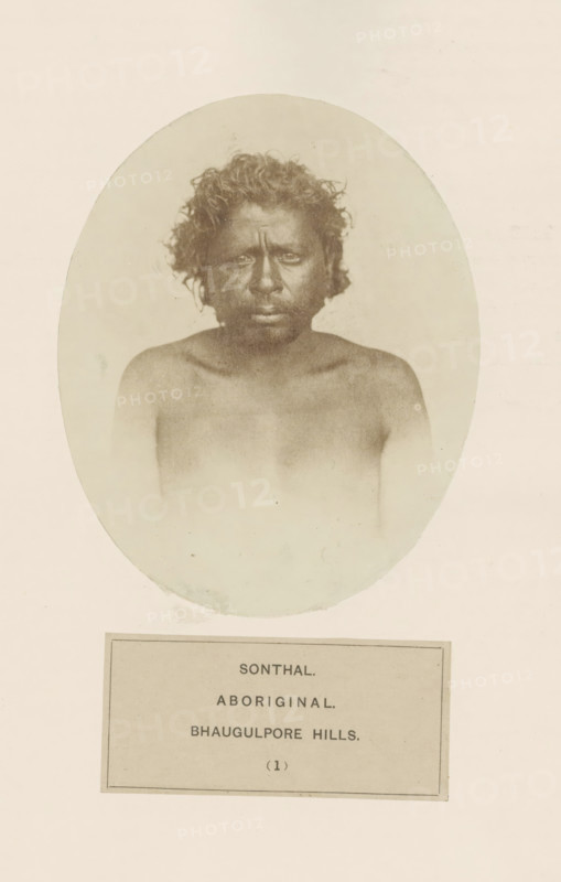 Portrait of an unknown man from the Santhal tribe in eastern India, photograph, page, number: '(1)', inscription: 'SONTHAL., ABORIGINAL., BHAUGULPORE HILLS.', Bhagalpur, c. 1858 - in or before 1868, photographer, North India, Bihar, paper, albumen print, height 129 mm x width 105 mm, human races, peoples, nationalities, Jharkhand, Rajmahal hills, A faded oval sepia portrait of a bare-chested person with dark skin and curly hair is centered on a light background, showing a frontal view from the shoulders up with a neutral expression and slightly tousled hair, and a rectangular framed area beneath the portrait containing printed lines.