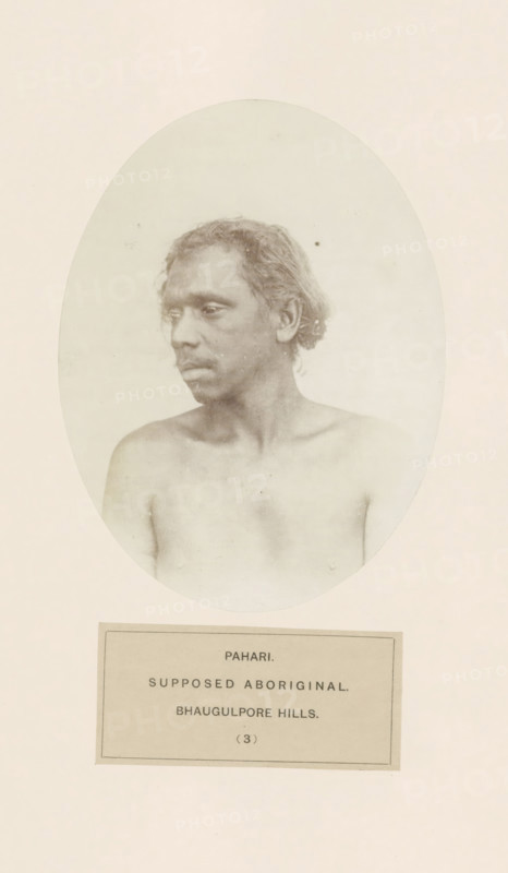 Portrait of an unknown man from the Mal Paharia tribe in eastern India, photograph, page, inscription: 'PAHARI., SUPPOSED ABORIGINAL., BHAUGULPORE HILLS.', number: '(3)', Bhagalpur, c. 1858 - in or before 1868, photographer, North India, Bihar, paper, albumen print, height 146 mm x width 110 mm, human races, peoples, nationalities, Jharkhand, Rajmahal hills, A monochrome oval portrait of a bare-chested man shown from the shoulders up, turned slightly to his left with short, wavy hair and a neutral expression, set against a pale background and mounted on a lighter rectangular page with a bordered label beneath the oval.