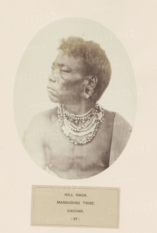 Portrait of an unknown man from the Naga tribe of Assam, photograph, page, number: '(37)', inscription: 'HILL NAGA., MARAUDING TRIBE., CACHAR.', photographer: Benjamin Simpson (possibly), Assam, c. 1858 - in or before 1868, paper, albumen print, height 158 mm x width 120 mm, human races, peoples, nationalities, A sepia-toned oval portrait of a person shown from the chest up in profile facing left, with short textured hair and visible facial contours, wearing layered beaded necklaces and an earring consisting of radiating elements; the shoulders and upper chest are partially visible and one arm appears draped with a fabric, all set against a pale background with a rectangular label beneath the portrait.