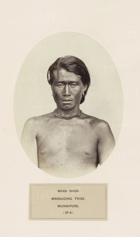 Portrait of an unknown man from the Naga community of Manipur, photograph, page, number: '(37 A)', inscription: 'MARA NAGA., MARAUDING TRIBE., MUNNIPORE.', photographer: Benjamin Simpson (possibly), Manipur, c. 1858 - in or before 1868, paper, albumen print, height 160 mm x width 120 mm, human races, peoples, nationalities, A sepia-toned oval portrait of a bare-chested person with short dark hair swept back, a neutral facial expression, and a necklace around the neck, set against a light background and mounted on a pale page with a rectangular label below the oval.