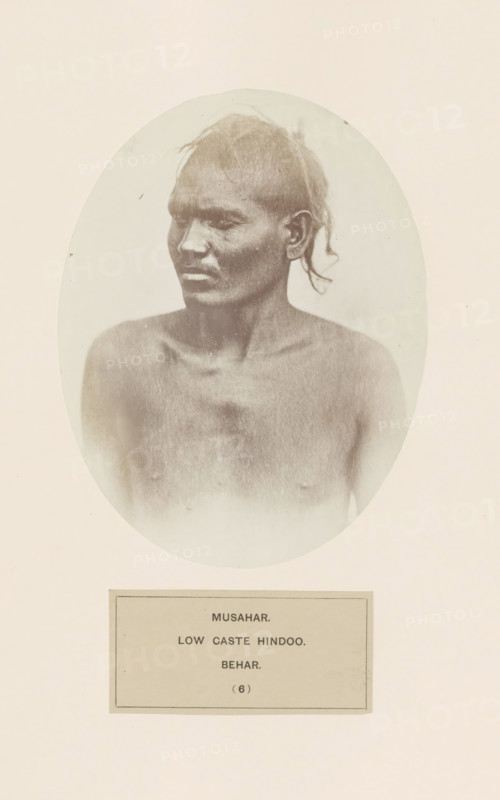 Portrait of an unknown man from the Musahar community of Bihar in eastern India, photograph, page, number: '(6)', inscription: 'MUSAHAR., LOW CASTE HINDOO., BEHAR.', Bihar, c. 1858 - in or before 1868, photographer, North India, paper, albumen print, height 157 mm x width 121 mm, human races, peoples, nationalities, A faded oval sepia photograph of a bare-chested person with short, uneven hair and a small topknot or tied strand at the back, facing slightly to the viewer's left; the person's facial features are visible in profile with a neutral expression, visible collarbones, shoulders, and upper chest, all framed against a light background and mounted on a pale sheet with a rectangular label area beneath the oval.