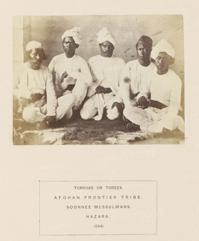 Portrait of five unknown men from the Turi tribe of Hazara, Khyber Pakhtunkhwa, Pakistan, photograph, page, inscription: 'TORKHAS OR TOREES., AFGHAN FRONTIER TRIBE., SOONNEE MUSSULMANS., HAZARA.', number: '(244)', Hazara, c. 1862 - in or before 1872, photographer, paper, albumen print, height 86 mm x width 115 mm, human races, peoples, nationalities, A sepia-toned photograph shows five seated men arranged closely in a row against a plain background, each wearing light-colored, long-sleeved garments and head coverings including wrapped turbans and a cap; their skin tones appear dark and their expressions are neutral or serious, with most looking toward the camera; their hands rest on their laps or knees and some sit cross-legged on a textured floor covering; the paper around the photograph shows a printed rectangular caption block below the image.