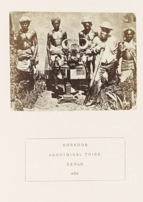 Group of four men from the Korku tribe and a British hunter around a table with a head of bison on it in the former Berar in central India, photograph, page, inscription: 'KORKOOS., ABORIGINAL TRIBE., BERAR.', number: '404', photographer: James Mulheran (possibly), Berar, 1862, paper, albumen print, height 77 mm x width 99 mm, hunter, hoofed animals: bison, human races, peoples, nationalities, A sepia-toned photograph shows a group of six people standing outdoors behind a mounted buffalo head placed on a decorative stand; four of the people appear shirtless and wear cloth wraps around their waists with headwraps, one person wears a hat and long-sleeved shirt and holds a long object, and another person at the far right wears a wrap around the torso; vegetation is visible along the lower edges and a light background fills the upper area.