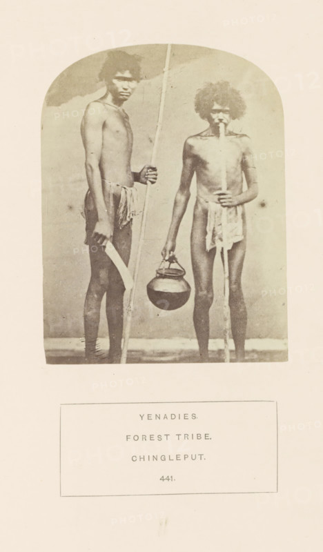 Portrait of two unknown men from the Yenadi tribe with a pot, knife and sticks, Chengalpattu, Tamil Nadu, India, photograph, page, number: '441.', inscription: 'YENADIES., FOREST TRIBE., CHINGLEPUT.', c. 1865 - in or before 1875, photographer, South India, paper, albumen print, height 115 mm x width 88 mm, human races, peoples, nationalities, A sepia-toned photograph shows two naked men standing side by side against a plain backdrop, each with curly hair and lean bodies; the man on the left holds a tall slender pole in one hand and a long curved knife in the other while wearing a small cloth around his waist, and the man on the right holds a similar pole with one hand, has a narrow object held in his mouth, and holds a rounded pot by its handle in his other hand, both standing on a light-colored floor within an arched photographic frame.