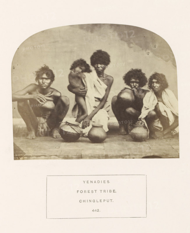 Group portrait of a family from the Yenadi tribe with cooking pots, Chengalpattu, Tamil Nadu, India, photograph, page, number: '442.', inscription: 'YENADIES., FOREST TRIBE., CHINGLEPUT.', c. 1865 - in or before 1875, photographer, South India, paper, albumen print, height 105 mm x width 130 mm, human races, peoples, nationalities, kitchen-utensils: pot, A sepia-toned photograph shows five seated figures arranged in a row against a plain backdrop, each with dark, curly hair and wearing simple draped cloths; the central figure holds a small child against their chest while two rounded vessels rest on the ground in front of them, and the outer figures sit with knees drawn up and hands near the vessels, all positioned on a flat tiled surface with a faded, arched vignette framing the upper portion of the image.