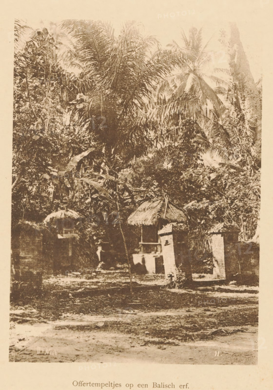 Sacrificial temples on a Balinese yard, View of a sacrificial temple in a wooded area, page, photomechanical print, maker: Christiaan Johan Neeb, c. 1892 - in or before 1897, paper, collotype, photoprint, height 164 mm x width 119 mm, trees, places and objects of worship, non-Christian religions, Indonesia, A sepia-toned photograph showing dense tropical vegetation with large palm fronds and broad leaves filling the upper and middle parts of the image, and small thatched-roof structures and low brick pillars partially visible among the foliage toward the lower middle, with a ground area of bare soil and scattered debris in the foreground.