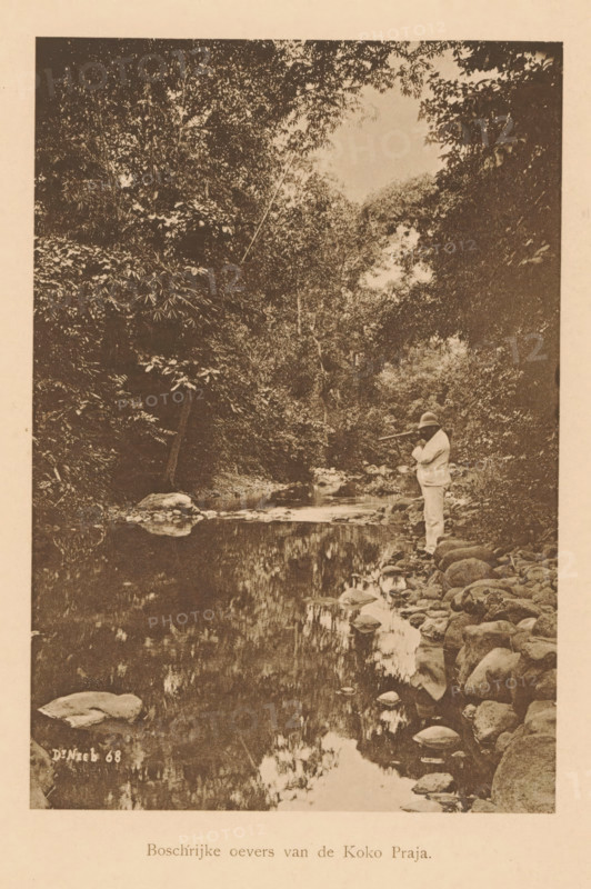 View of an unknown European man with a rifle on the bank of a river, Wooded banks of the Koko Praja, page, photomechanical print, maker: Christiaan Johan Neeb, c. 1892 - in or before 1897, paper, collotype, photoprint, height 166 mm x width 114 mm, historical persons, adult man, firearms, river bank, Indonesia, A sepia-toned photograph of a shallow river or stream bordered by a rocky bank with rounded stones, dense foliage and tall trees forming a leafy canopy above, a reflection of the trees and sky visible on the water surface, and a person standing on the right bank wearing light-colored clothing and a hat while holding a long object horizontally.
