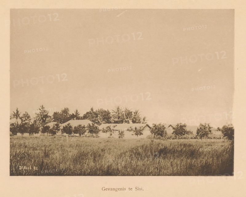 Prison at Sisi, View of a prison at Sisi, page, photomechanical print, maker: Christiaan Johan Neeb, c. 1892 - in or before 1897, paper, collotype, photoprint, height 120 mm x width 158 mm, Print six pages after page 245., prison, jail, Sisi, A wide sepia-toned photograph showing a foreground of tall grasses, a line of trees and shrubs behind the grassy area, and a row of low buildings with pitched roofs partially obscured by the trees, all beneath a large expanse of mostly clear sky.
