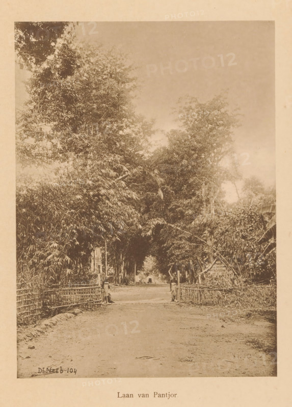 View of a road in a wooded area, Laan van Pantjor, page, photomechanical print, maker: Christiaan Johan Neeb, c. 1892 - in or before 1897, paper, collotype, photoprint, height 167 mm x width 122 mm, road, path, trees, Indonesia, A sepia-toned photograph showing a dirt road framed by tall, dense trees and foliage on both sides, with bamboo or woven fences lining the roadside; two figures stand near the fences on opposite sides of the road, and a small cart or vehicle is visible further down the road beneath the canopy of trees, while the sky above is light and mostly clear.