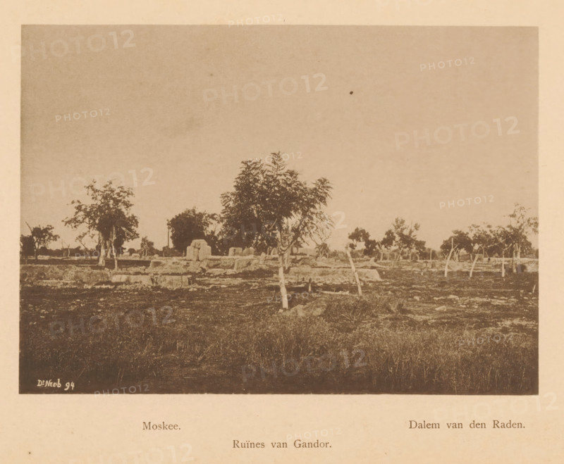 Ruins in a field, Ruins of Gandor, page, photomechanical print, inscription: 'Moskee Dalem van de Raden', maker: Christiaan Johan Neeb, c. 1892 - in or before 1897, paper, collotype, photoprint, height 122 mm x width 166 mm, landscape with ruins, Indonesia, A sepia-toned landscape photograph showing a flat field with scattered trees of varying sizes and shapes, some with leafy canopies and some appearing more sparse, with several tree trunks leaning or supported by stakes; low stone ruins and rough masonry are visible among the trees, and the foreground shows uneven ground with grass and patches of bare soil while the sky above is empty and pale.