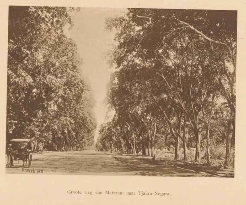 View of a road with trees along it, Great Road from Mataram to Tjakra-Negara, page, photomechanical print, maker: Christiaan Johan Neeb, c. 1892 - in or before 1897, paper, collotype, photoprint, height 123 mm x width 168 mm, road, path, trees, Indonesia, A sepia-toned photograph of a straight dirt road lined on both sides by tall trees with dense foliage forming a canopy above, with tree trunks and branches visible along the edges and a lighter sky visible through the center gap; a vintage open-top automobile is parked at the near left edge of the road with a person seated inside, and an open grassy area runs beside the road with shadows cast by the trees.
