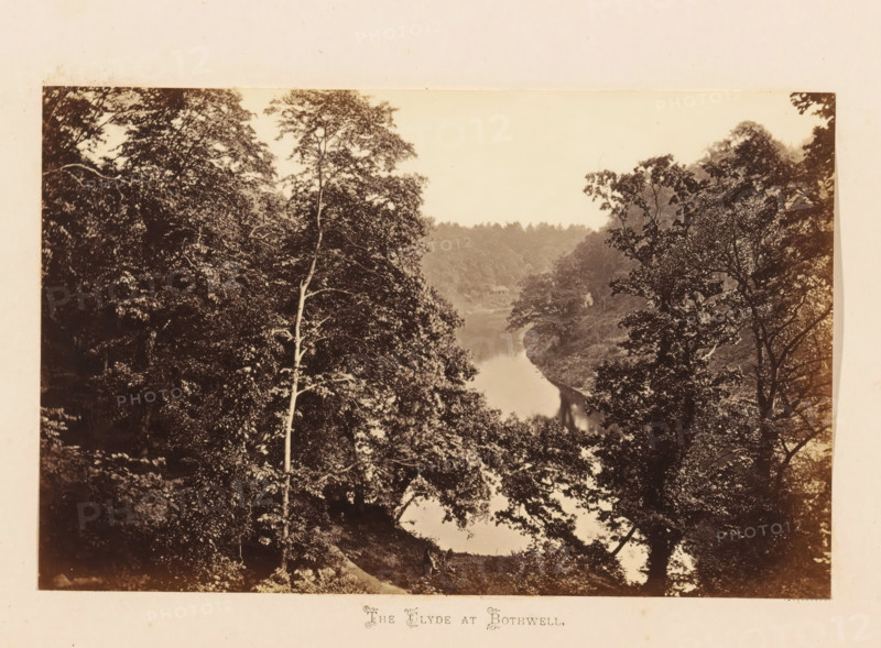 The Clyde at Bothwell, View of the Clyde, photograph, page, South Lanarkshire, c. 1862 - in or before 1867, photographer, paper, albumen print, height 112 mm x width 178 mm, river, landscapes with waters, waterscapes, seascapes (in the temperate zone), A sepia-toned photograph showing a tree-filled scene with a river running through a wooded valley; tall trees with leafy canopies frame both sides, some trunks visible in front, and dense foliage fills much of the image with darker textured leaves contrasted against a lighter sky above; the river surface appears reflective and snakes between the tree-covered banks toward the distant treeline, and a small structure is partially visible near the far bank amid the trees.