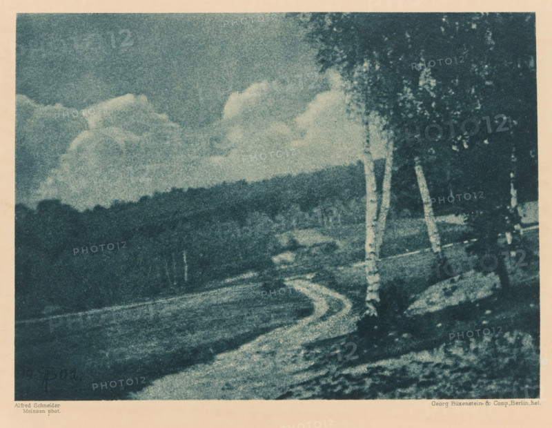 Landscape, page, photomechanical print, inscription: 'Photogr. Mitteilungen LX', monogram: 'BX', photographer: Alfred Schneider, cliché maker: Büxenstein & Comp., Georg, Berlin, c. 1898 - in or before 1903, paper, photoaquatint, height 129 mm x width 175 mm, landscapes, A grainy blue-toned landscape shows a winding lighter pathway cutting across darker fields, with a row of trees along the right edge including slender pale trunks and darker leafy canopies, a low tree-covered ridge in the middle distance beneath a sky filled with soft, billowing clouds, and a pale border around the image.