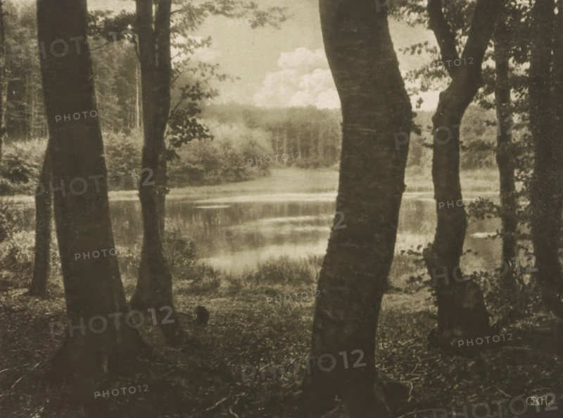 View of the Waldsee, Waldsee, page, photomechanical print, inscription: 'Photogr. Mitteilungen XL', monogram: 'BX', photographer: Otto Scharf, Meurs (possibly), cliché maker: Büxenstein & Comp., Georg, Berlin, c. 1898 - in or before 1903, North Rhine-Westphalia, paper, photoaquatint, height 132 mm x width 176 mm, lake, trees, A sepia-toned scene shows tall tree trunks in the foreground framing a calm body of water in the midground, with reflections on its surface and grassy edges; branches and leaves extend from the trunks and partially obscure a distant tree line, while soft clouds hover above the horizon and the forest floor in the foreground appears covered with leaves and roots.