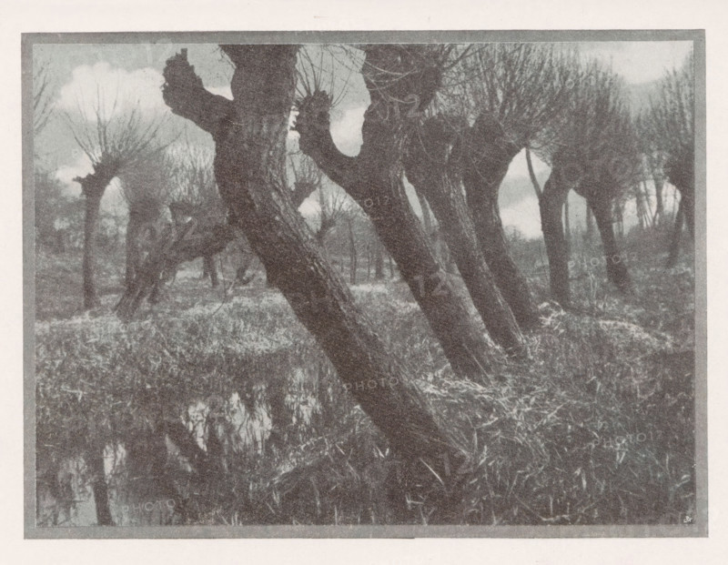 Weiden im vorfrühling, Landscape with willows, page, photomechanical print, monogram: 'BX', inscription: 'Photographische Mitteilungen XL', photographer: Otto Scharf, Krefeld (possibly), cliché maker: unknown, c. 1898 - in or before 1903, North Rhine-Westphalia, paper, autotypie, height 122 mm x width 166 mm, landscapes, trees: willow, A monochrome image showing a row of pollarded trees with thick trunks leaning at an angle and short, knobbly tops from which many thin branches sprout, standing in a grassy, marshy area with reflections of trunks and branches in still water beneath; the sky is partly cloudy and the scene is framed by a border.