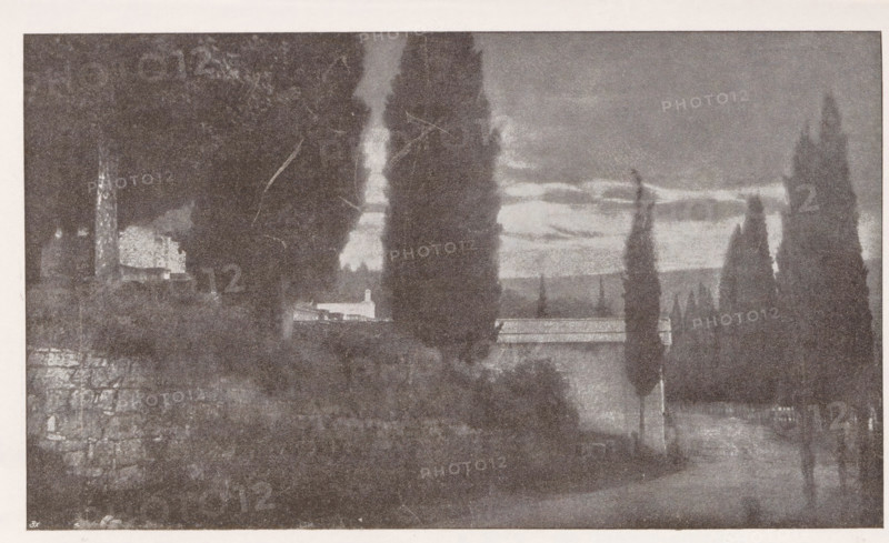 Friedhof bei Salò, View of a cemetery near Salò, page, photomechanical print, monogram: 'BX', inscription: 'Photographische Mitteilungen XL', photographer: A. Richter, Salò, cliché maker: unknown, c. 1898 - in or before 1903, Lombardy, paper, autotypie, height 119 mm x width 197 mm, churchyard, cemetery, A grainy black-and-white scene showing a pathway flanked by tall, narrow trees and dense dark foliage, with a low stone wall and a building partially visible among the trees; the sky above shows layered clouds and a lighter horizon, and the overall image has a textured, high-contrast appearance.