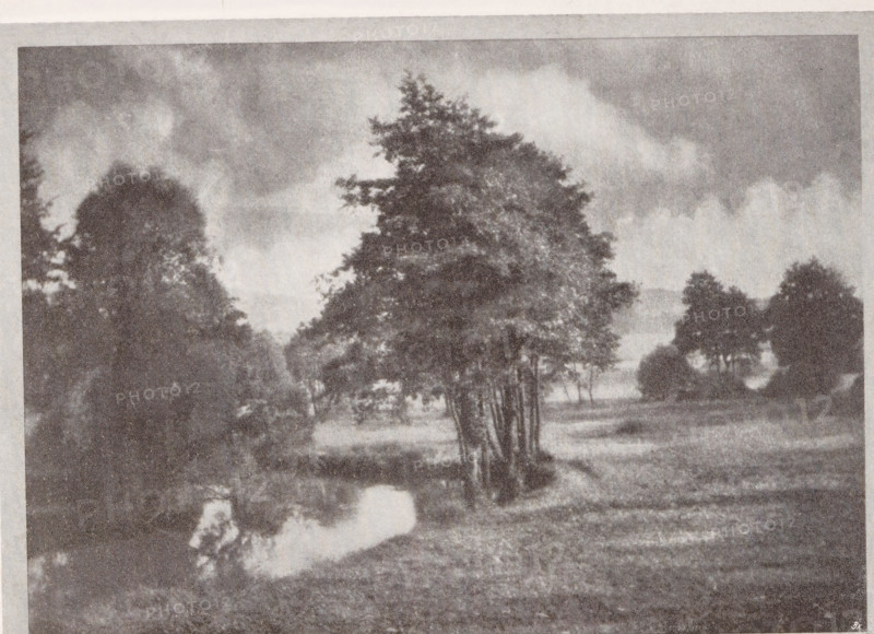 Landscape, Summertag, page, photomechanical print, monogram: 'BX', photographer: Max Albert, Rheineck (possibly), cliché maker: unknown, c. 1898 - in or before 1903, paper, autotypie, height 125 mm x width 171 mm, landscapes, A grainy monochrome image showing a landscape with a cluster of tall trees near the center, their trunks visible at the base and a dense canopy above, flanked by additional groups of trees on either side; a grassy field or clearing extends in front of the trees with a narrow reflective water channel winding through the foreground, and clouded sky fills the upper portion of the scene.