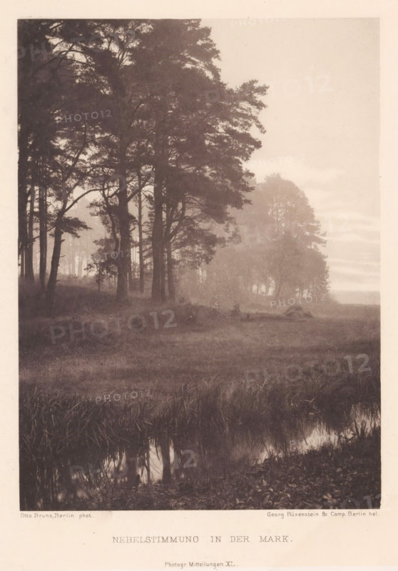 Landscape in fog, Nebelstimmung in der Mark, page, photomechanical print, inscription: 'Photogr. Mitteilungen XL', photographer: Otto Bruns, Brandenburg (state) (possibly), cliché maker: Büxenstein & Comp., Georg, c. 1898 - in or before 1903, paper, photoaquatint, height 160 mm x width 118 mm, landscapes, mist, fog, A sepia-toned photograph showing a misty landscape with tall trees clustered on the left and center, their trunks and branches dark against a pale, foggy sky, a faint group of more distant trees softened by haze toward the right, a grassy foreground with reeds and a reflective patch of water at the bottom edge, and a soft, blurred horizon line separating land and sky.