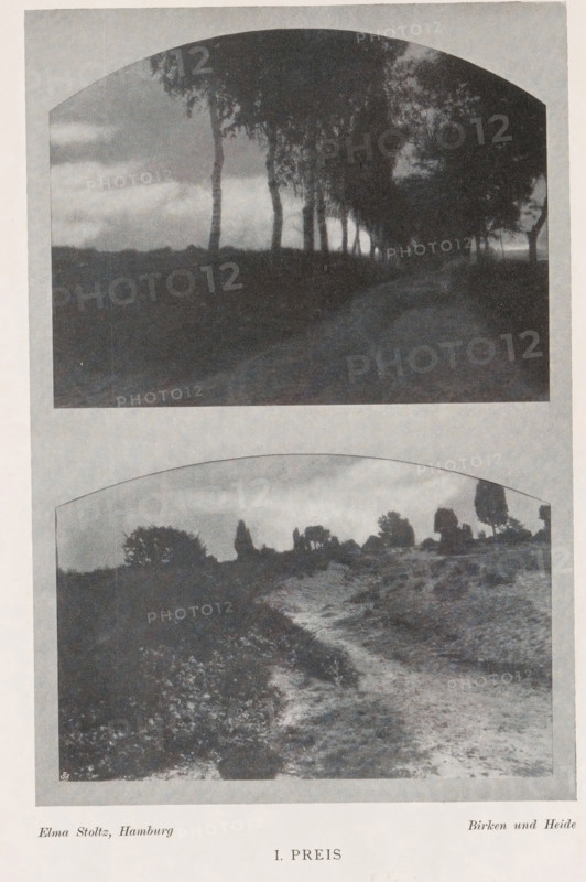 Birken und Heide, Montage of two landscapes, birch trees and a heath, page, photomechanical print, photomontage, inscription: 'I. Preis, Ausstellung on Damen-Arbeiten Hamburg 1903, Photographische Mitteilungen XL', monogram: 'BX', photographer: Elma Stoltz, cliché maker: unknown, c. 1898 - in or before 1903, paper, autotypie, height 176 mm x width 119 mm, landscapes, trees: birch, The image shows two separate black-and-white landscape photographs stacked vertically, each within a rounded arch frame; the top photograph depicts a row of tall, slender trees along the edge of a darker foreground with a path or open area receding into the distance under a cloudy sky, with dense foliage forming a canopy on one side, while the bottom photograph shows an open, uneven terrain with a winding dirt track bordered by low vegetation and scattered bushes and trees on the horizon beneath a clouded sky.