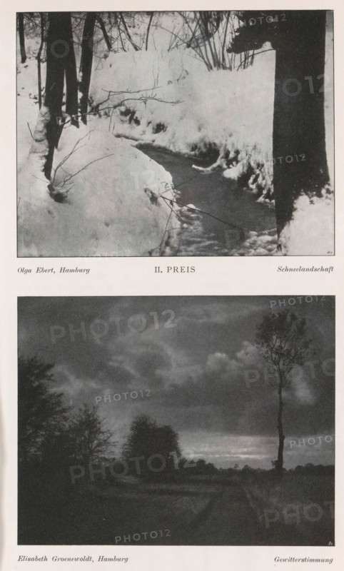 Gewitterstimmung, Landscape, page, photomechanical print, photomontage, inscription: 'Ausstellung von Damen-Arbeiten Hamburg 1903, Photographische Mitteilungen XL', inscription: 'Hamburg', monogram: 'BX', photographer: Elisabeth Groenewoldt, cliché maker: unknown, c. 1898 - in or before 1903, paper, autotypie, height 98 mm x width 125 mm, Print on third unnumbered page after page 82., landscapes, A vertically oriented page shows two black-and-white photographic images stacked with a narrow white border between them; the top photograph depicts a snowy woodland scene with a stream cutting through banks of snow, bare tree trunks and thin leafless branches rising from the snow, and dark water visible in the stream; the bottom photograph shows a dark, moody landscape with a tall, slender bare tree standing to the right, lower dense trees and shrubs silhouetted along the horizon, a cloudy sky with varied tones above, and a faint path or road leading into the scene.