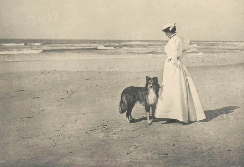 On the Beach, Woman with a dog on the beach, page, photomechanical print, photographer: William D. Murphy, cliché maker: Photochrome Engraving Co., New York (city), c. 1897 - in or before 1902, North America, paper, photoaquatint, height 122 mm x width 178 mm, behind semi-transparent cover., adult woman, beach, dog, A black and white scene of a sandy beach with waves in the background, a woman standing near the shore wearing a long light-colored dress and a hat, and a long-haired dog standing beside her facing the camera.