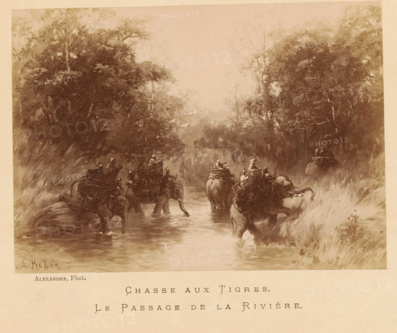 Photo reproduction of Chasse aux Tigres by Jean Baptiste Robie, Chasse aux Tigres., Le Passage de la Rivière, photograph, reproduction, page, photographer: Alexandre, after painting by Jean Baptiste Robie, c. 1878 - in or before 1883, paper, albumen print, height 97 mm x width 136 mm, behind cover., hunt, predatory animals (fox, lion), A sepia-toned scene showing a group of elephants wading through a shallow river surrounded by dense trees and tall grasses, riders and cargo seated on the elephants' backs, tree canopies forming a dark, leafy frame on both sides, a misty or lightened background down the center of the scene, reflections of the animals visible in the water, and textured brushwork throughout the foliage and foreground.