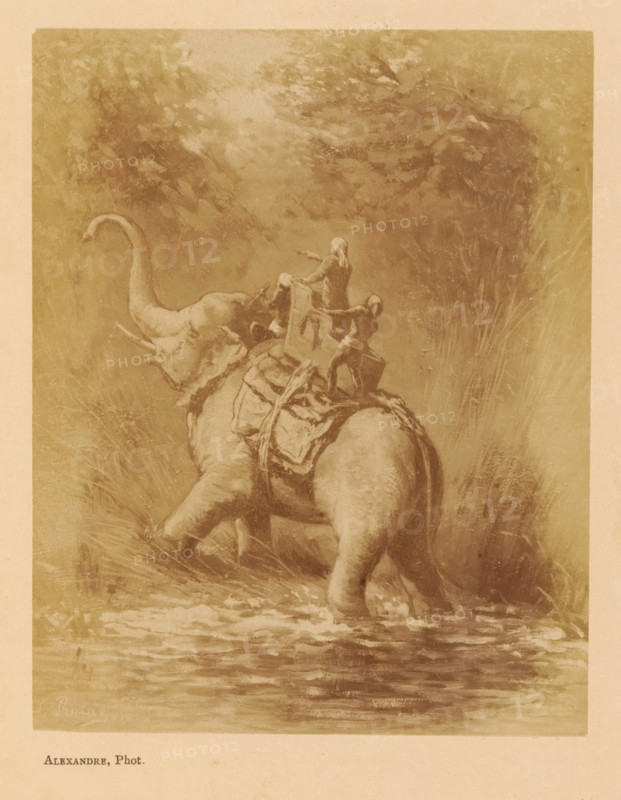 Le Ravin, Photo reproduction of Le Ravin by Jean Baptiste Robie, photograph, reproduction, page, photographer: Alexandre, after painting by Jean Baptiste Robie, c. 1878 - in or before 1883, paper, albumen print, height 131 mm x width 103 mm, behind cover, trunked animals: elephant, ravine, chasm, abyss, canyon, A sepia-toned illustration shows the rear view of an elephant wading through shallow water with its legs partially submerged, a decorative saddle and harness on its back, and two small human figures standing on the saddle holding onto gear while one points forward; tall grasses and dense foliage surround the animal and rise behind it, and the surface of the water in the foreground reflects muted tones from the scene.
