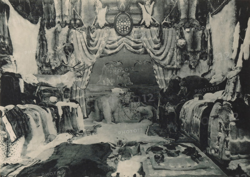 View of fur from Norway at the Antwerp World Exhibition in 1894, Fourrures de la Norwège, Exposition Universelle d'Anvers 1894, page, photomechanical print, photographer: Charles Bernhoeft, Antwerp, cliché maker: Charles Bernhoeft, Luxembourg (Belgian province), 1894, Charles Bernhoeft, photographer, cliché maker, paper, collotype, photoprint, height 154 mm x width 216 mm, world fair, world exhibition, handicrafts, animal material, skins, leather, building material, World Exhibition 1894 (Antwerp), Period, 1894-05-05 - 1894-11-05, A monochrome scene showing an interior display of animal furs and mounted animal heads arranged around a central draped opening that resembles a curtained stage; the curtains are heavy and patterned, tied back to reveal a backdrop with rock formations and birds. Along the sides and foreground are numerous pelts and rugs spread over surfaces, some with visible animal faces and teeth, and a mounted stag head with antlers positioned to the left of the curtained ...