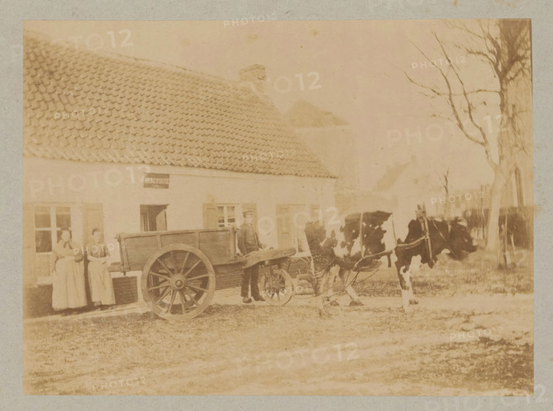 Farmer with a cart pulled by a cow, photograph, page, c. 1888 - in or before 1893, photographer, paper, albumen print, height 118 mm x width 160 mm, farmers, cow, two-wheeled vehicle drawn by one animal, A faded sepia scene shows a building with a tiled roof and shuttered windows, a wooden cart with large spoked wheels in front of it, two women standing near a doorway, a man beside the cart, a harnessed cow facing sideways, and a bare-branched tree at the right edge.