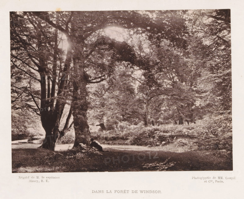 In the forest near Windsor, Dans la Forêt de Windsor, page, photomechanical print, photographer: RE Abney, Windsor, cliché maker: Goupil & Cie., Paris, c. 1872 - in or before 1877, Berkshire, paper, Woodburytype, height 106 mm x width 145 mm, forest, wood, A sepia-toned photograph of a wooded scene showing large, mature trees with thick trunks and widespread branches forming a dense canopy, dappled light filtering through the leaves, a grassy and slightly uneven forest floor with patches of undergrowth, and a person sitting at the base of one of the trees leaning back against the trunk.