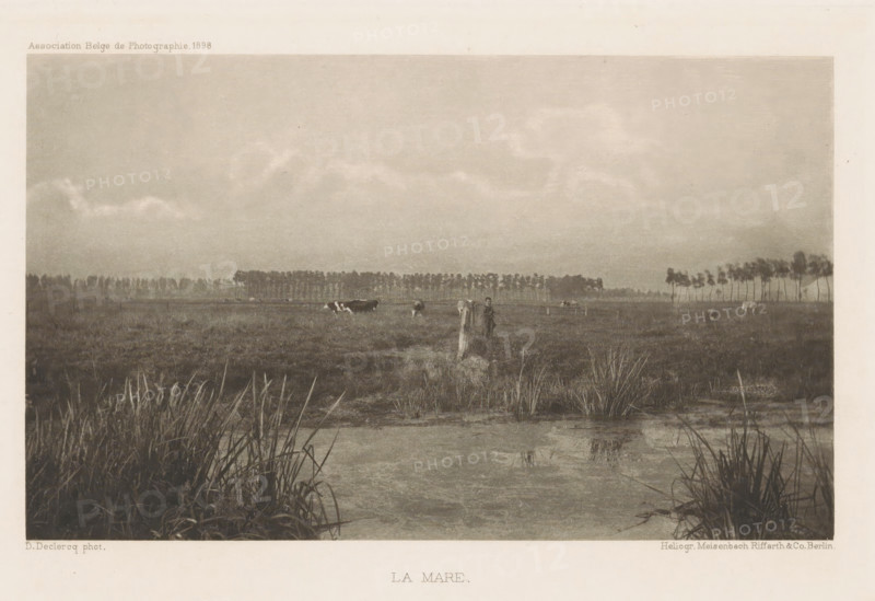 La mare, Cows in the meadow, page, photomechanical print, photographer: Désiré Declercq, cliché maker: Meisenbach, Riffarth & Cie., Berlin, c. 1893 - in or before 1898, paper, photoaquatint, height 104 mm x width 68 mm, Print on third unnumbered page after page 61., landscapes, meadow, pasture, cow, A wide, flat landscape with a shallow body of water in the foreground bordered by tall grasses and reeds, a grassy marshy field stretching back toward a distant line of trees, several grazing cows scattered across the midground, a solitary upright post near the center with a person standing beside it, a low horizon under a pale sky filled with soft, diffuse clouds.
