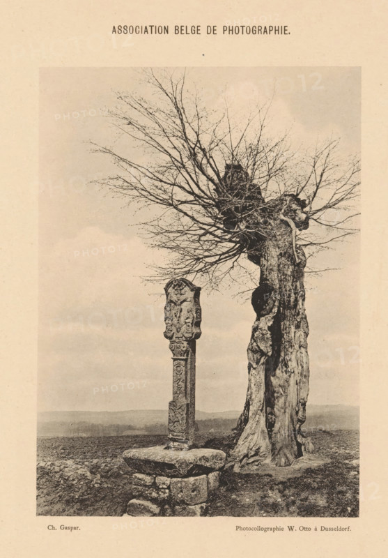 Landscape with altar, page, photomechanical print, photographer: Charles Gaspar, cliché maker: W. Otto, Düsseldorf, c. 1893 - in or before 1898, North Rhine-Westphalia, paper, collotype, photoprint, height 159 mm x width 115 mm, landscapes, altar, A sepia-toned photograph showing a leafless, gnarled tree with a thick, textured trunk and a dense cluster of thin, branching twigs at its top, positioned beside a tall, narrow carved stone column standing on a roughly hewn base of stacked stones, both set on bare ground with a distant flat horizon and a cloudy sky above.
