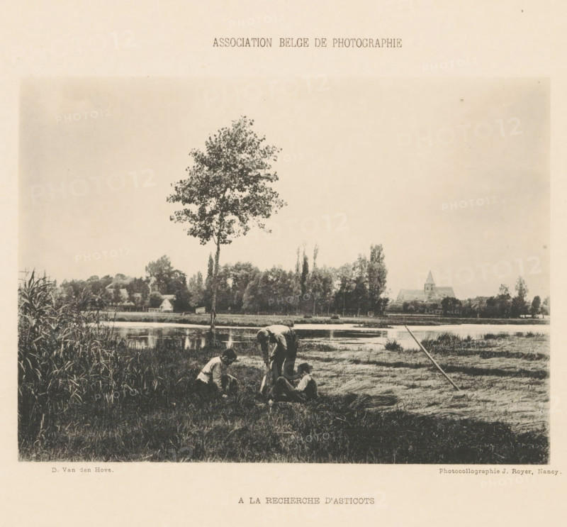 A la recherche d'asticots, Three boys look for maggots in the grass, page, photomechanical print, inscription: 'Association Belge de photographie', photographer: D. van den Hove, cliché maker: Jules Royer, Nancy, c. 1893 - in or before 1898, D. van den Hove, Jules Royer, photographer, cliché maker, paper, collotype, photoprint, height 112 mm x width 155 mm, Print on third unnumbered page after page 107., boy (child between toddler and youth), prospect of village, silhouette of village, A sepia-toned photograph shows a riverside scene with tall grasses in the foreground and a group of people near the water's edge; one person is bending over while others crouch or sit on the ground, and a long pole lies across the bank; a single tall tree rises near the center with a line of trees and distant buildings including a church with a steeple visible along the far bank, and reflections appear in the river under an open sky.