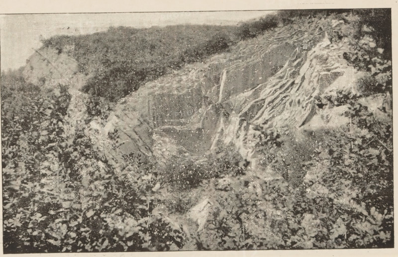 Carrière de Pierre-Pétru, montrant la torsion des couches, View of a quarry, page, photomechanical print, inscription: 'Reproduction direct du cliché photographique pris par MG Michelet, sous-lieutenant à l'École d'Application', maker: Michelet, M., c. 1887 - in or before 1892, paper, autotype, height 108 mm x width 175 mm, quarry, A grainy black-and-white photograph showing a steep eroded hillside with exposed tree roots and layered soil on the right, a sloping bank with a rough textured surface toward the center, and a foreground covered in scattered rocks and debris; vegetation appears along the top edge and mixed among the rocky foreground, and the image has a border with a lighter margin around it.