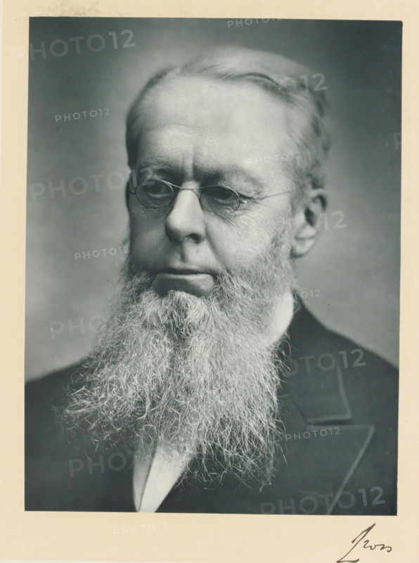 The right honorable Viscount Cross, GCB, photograph, page, inscription: '246 Regent St London, W.', annotation, photographer: Fradelle & Young, London, c. 1893 - c. 1903, paper, carbon print, height 227 mm x width 170 mm, Person, Richard Assheton Cross, historical persons (portraits and scenes from the life) ((full) bust portrait), A close black-and-white portrait of an older man shown from the chest up, featuring a long, full beard with wiry texture, a high forehead with neatly combed hair, small round eyeglasses perched on the nose, and a composed facial expression with relaxed lips. He is wearing a dark jacket with visible lapel and a light-colored shirt beneath. The background is plain and softly shaded, and the image has a light border around it.