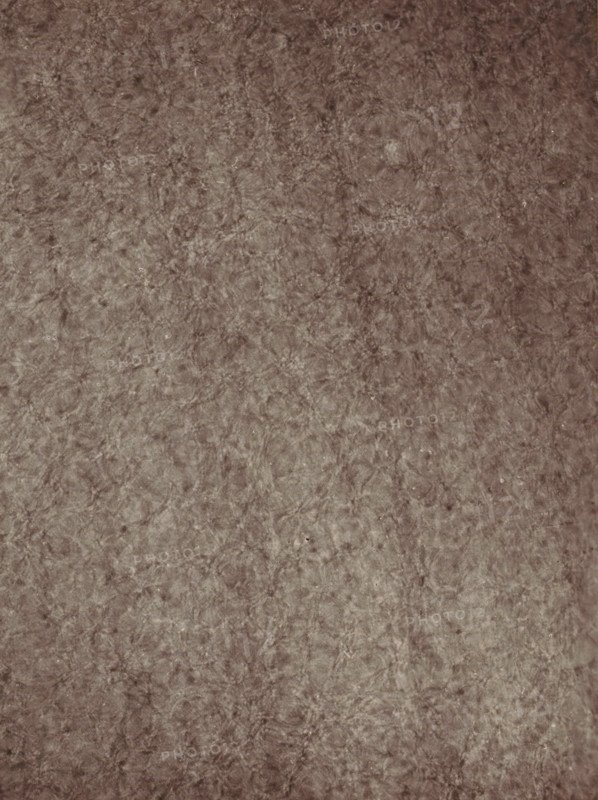 Observatoire de Meudon - études de la surface solaire (régioncentrale), Study of the solar surface, photograph, page, inscription: '23 Julliet 1877- 7h 41m 30s, (Régioncentrale), Diamètre du discque: 0m889', inscription: 'Pl. II', 1877-07-23, photographer, paper, carbon print, height 230 mm x width 170 mm, physical aspects of the sun, Zon, A mottled surface in muted brown tones fills the entire frame, showing a fibrous, slightly wrinkled texture with irregular darker and lighter patches and small scattered flecks.