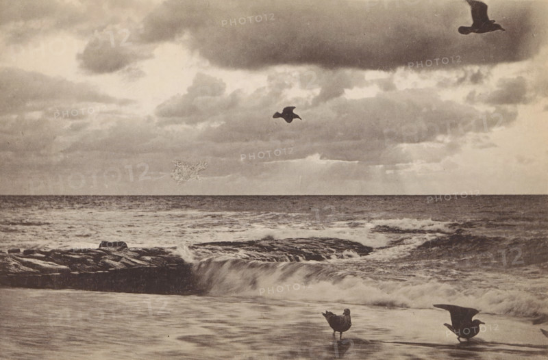 Am Nordseestrand, Abendstimmung, Seascape with seagulls, page, photomechanical print, photographer: Wilhelm Dreesen, cliché maker: Sinsel, Dorn & Co., Leipzig, c. 1885 - in or before 1890, Saxony, paper, collotype, photoprint, height 102 mm x width 154 mm, Print on third unnumbered page after page 400., sea (seascape), shore-birds and wading-birds: gull, North Sea, A grayscale seascape showing a rocky shoreline with waves breaking and water flowing over the rocks, a calm horizon line where the sea meets a cloudy sky, several birds in flight silhouetted against the clouds, and a few birds standing at the wet sand near the water’s edge.