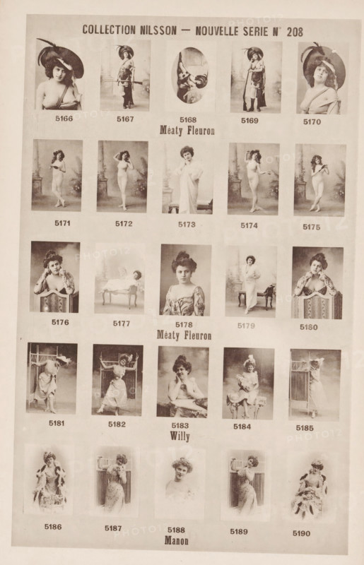 25 portraits of Méaty Fleuron, Willy and Manon, Collection Nilsson - Nouvelle Série, page, photomechanical print, number: 'No 208', c. 1894 - in or before 1899, paper, collotype, photoprint, height 240 mm x width 154 mm, historical persons - BB - woman, A sepia-toned page displaying a grid of portrait and full-body photographs of women arranged in rows and columns, each image showing a woman posing in period clothing or partially draped garments with various props such as chairs, a chaise lounge, decorative screens, and a columned studio backdrop, some wearing hats or headpieces and some with hair styled up, expressions ranging from neutral to slightly smiling, a central oval image leaning sideways, and the overall sheet framed by a pale margin.