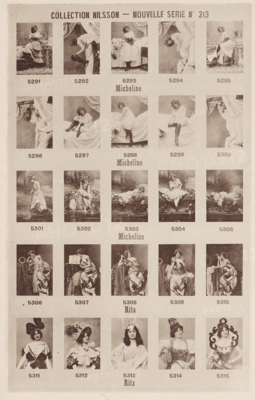 25 portraits of Micheline and Rita, Collection Nilsson - Nouvelle Série, page, photomechanical print, number: 'No 213', c. 1894 - in or before 1899, paper, collotype, photoprint, height 238 mm x width 153 mm, historical persons - BB - woman, A vertically oriented sepia sheet shows a grid of small portrait-style photographic panels arranged in rows; each panel contains a single woman posed in various outfits and settings, including dresses with ruffles, flowing skirts, and decorative headpieces, with some seated on draped furniture, some reclining on cushioned surfaces, and others standing near drapery or garden-like backdrops; the women display a range of poses such as leaning, looking downward, holding or adjusting garments, and resting hands on props; the sheet has a light textured border and an even margin around the panels.