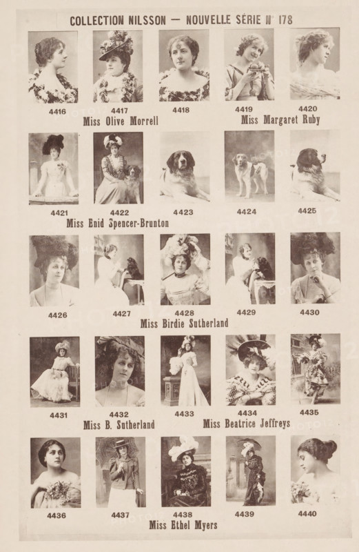 25 portraits of Olive Morrell, Margaret Ruby, Enid Spencer-Brunton, Birdie Sutherland, Beatrice Jeffreys and Ethel Myers, Collection Nilsson - Nouvelle Série, page, photomechanical print, number: 'No 178', c. 1894 - in or before 1899, paper, collotype, photoprint, height 239 mm x width 153 mm, Person, Ethel Myers, historical persons - BB - woman, portrait, self-portrait of sculptor, A vertically oriented printed page shows a grid of sepia-toned portrait photographs arranged in rows and columns, each portrait featuring a different woman or dog. The portraits show women in vintage clothing and elaborate hats or hairstyles, seated or posed in formal studio settings, with varied facial expressions from looking directly at the camera to gazing sideways. Some images include small props like a dog, a table, or a chair, and a few portraits show women holding or interacting with small animals. Several larger images of dogs appear in the top rows, shown either lying down or standing and facing d...